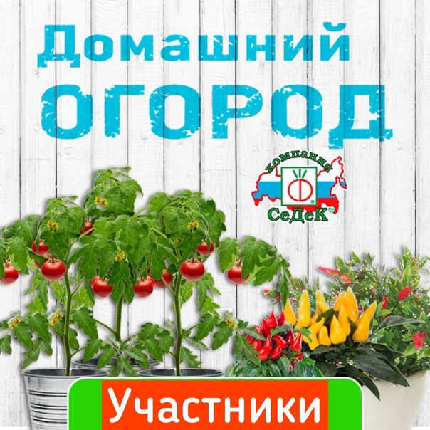 Тестирование СеДеК