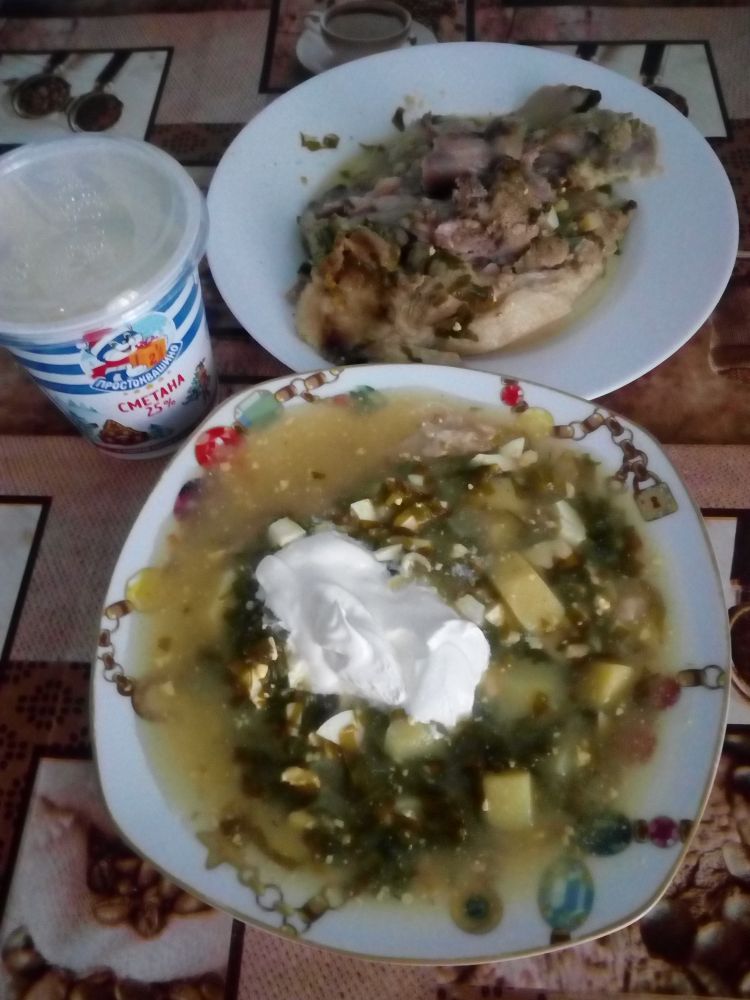 Зеленый борщ ( украинский )