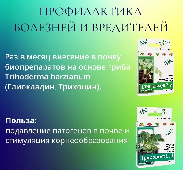 Схема профилактики болезней и вредителей