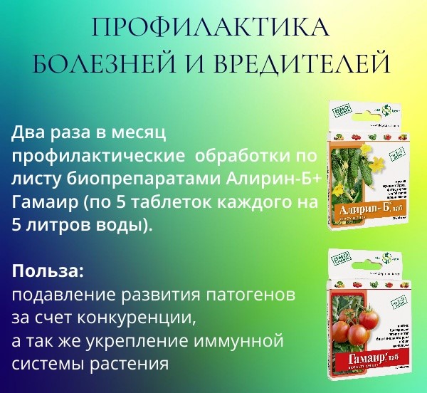 Схема профилактики болезней и вредителей
