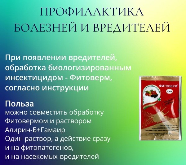 Схема профилактики болезней и вредителей