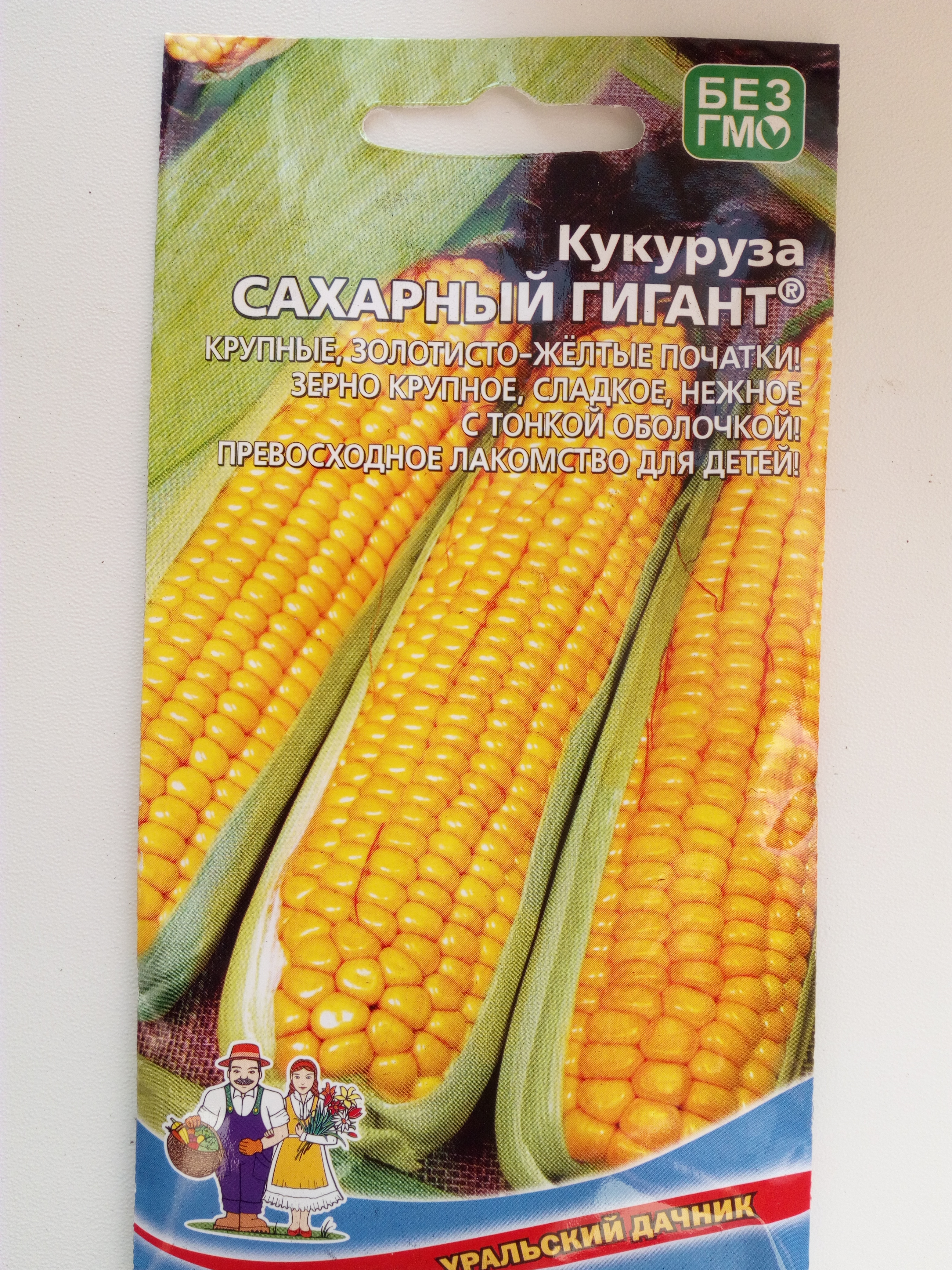 Кукуруза Сахарный гигант
