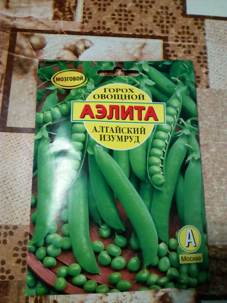 Горох овощной Алтайский изумруд