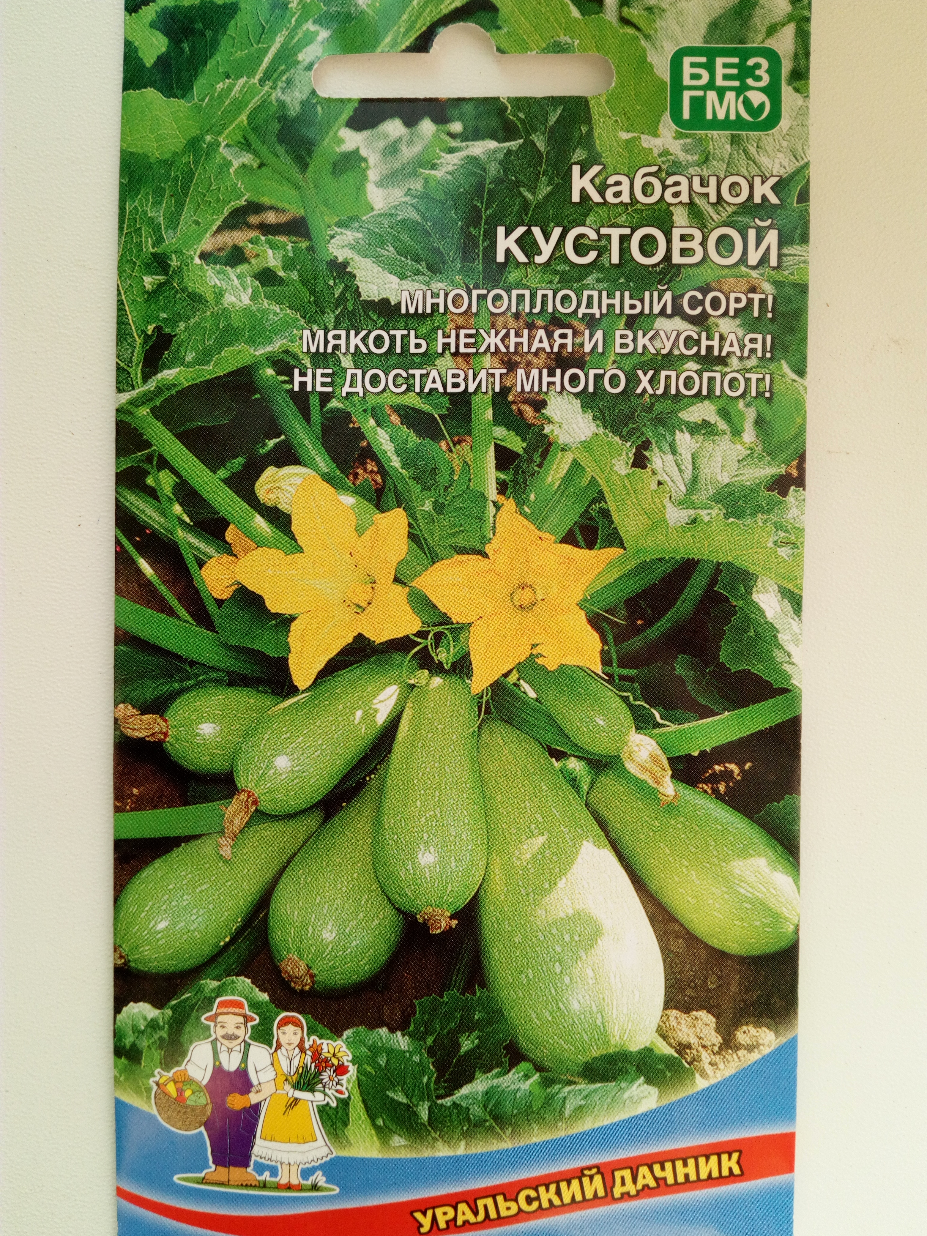 Кабачок Кустовой