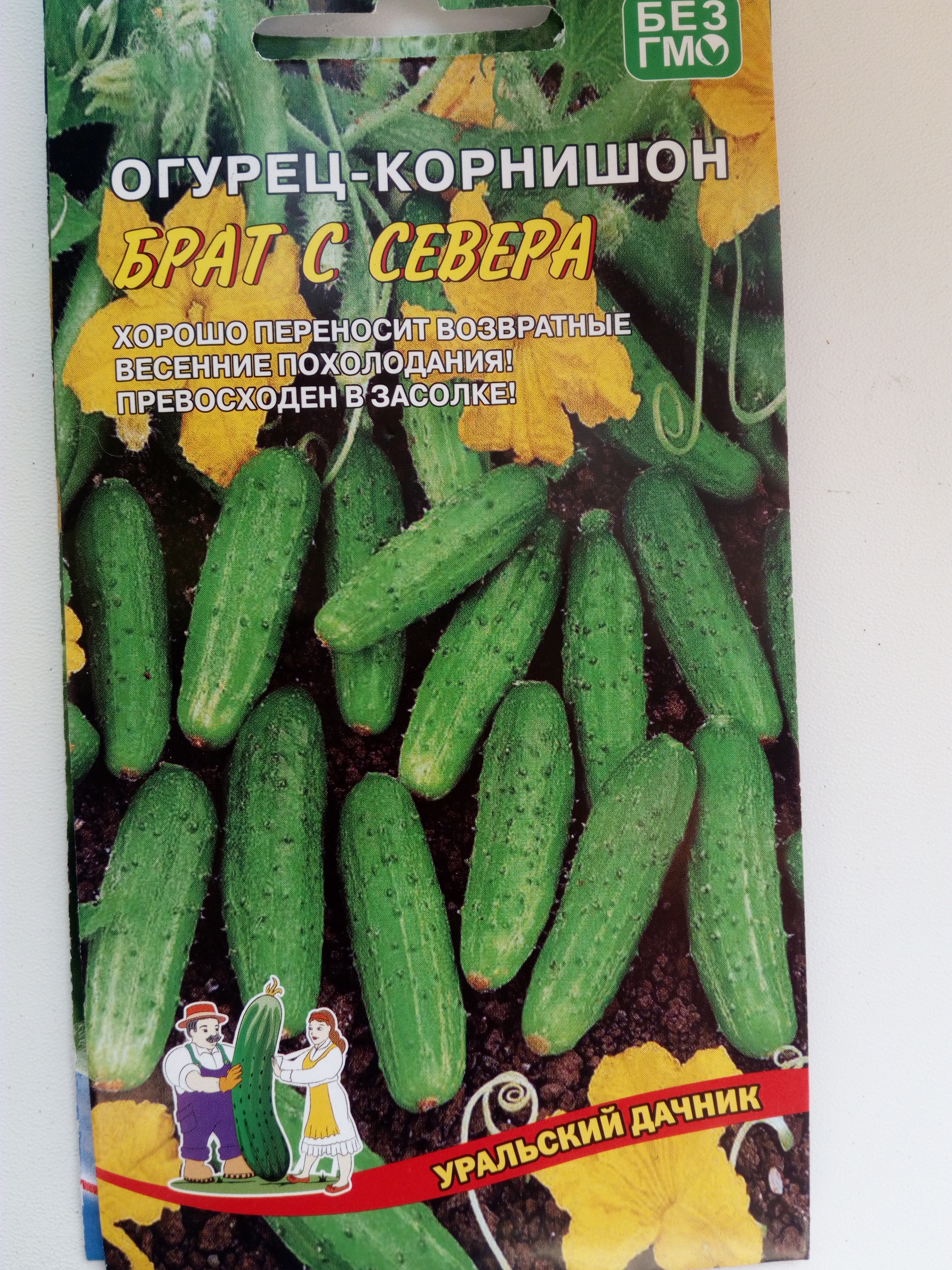 Огурец корнишон Брат с Севера