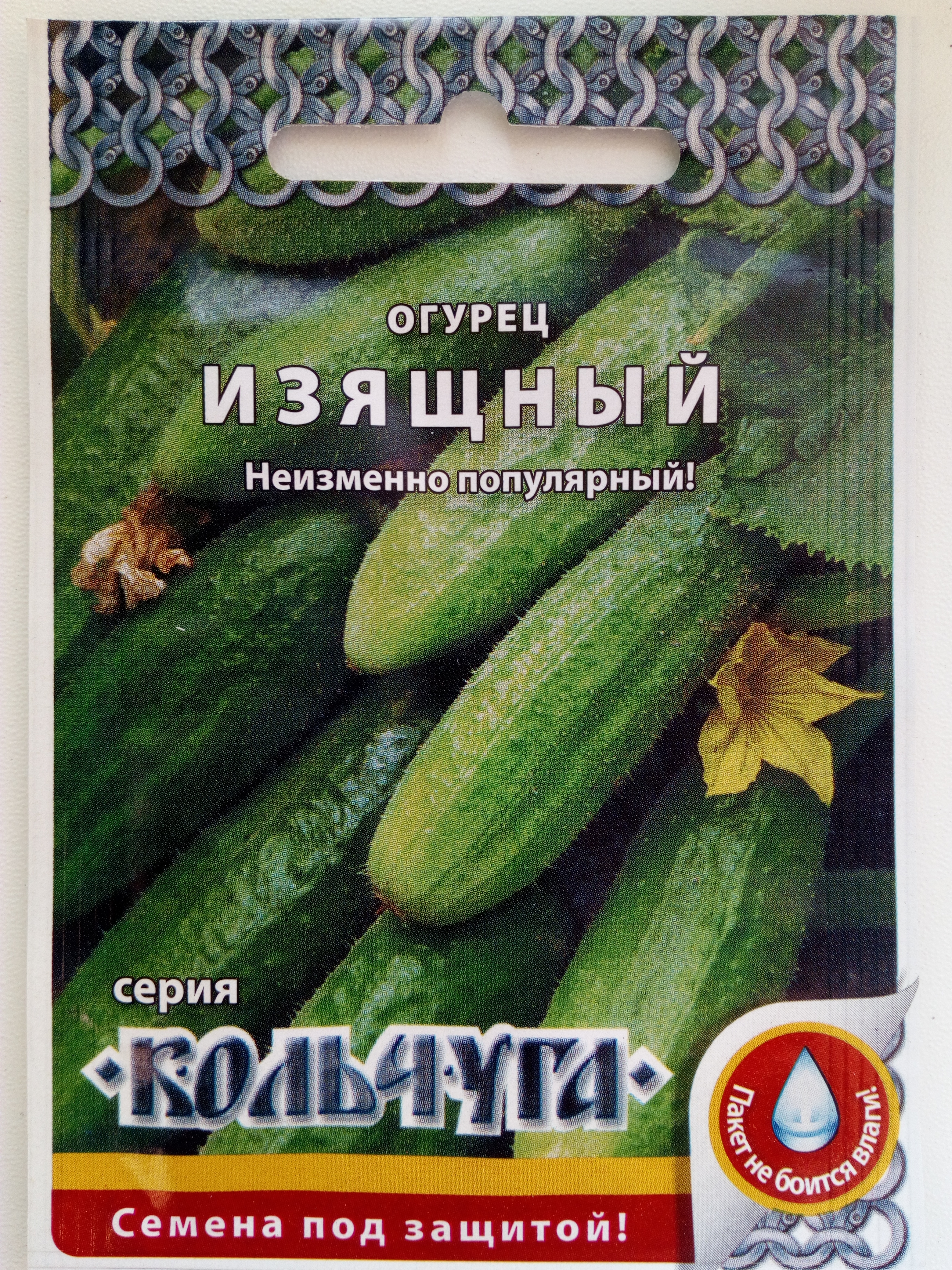 Огурец Изящный