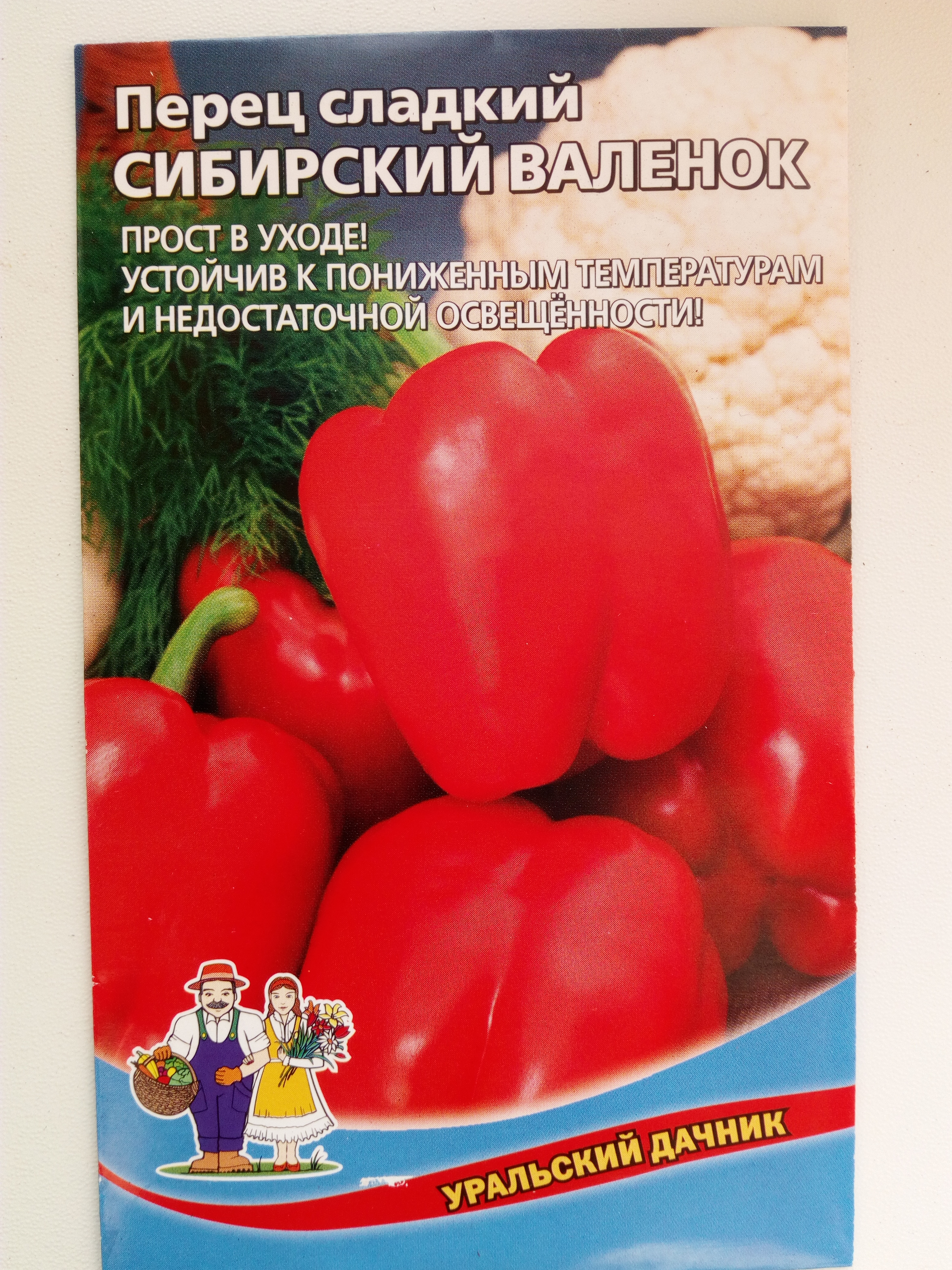 Перец сладкий Сибирский валенок
