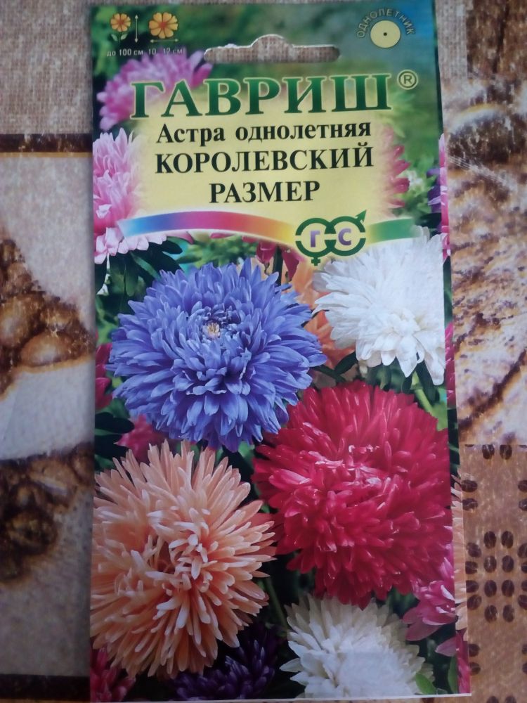Астра однолетняя Королевский Размер