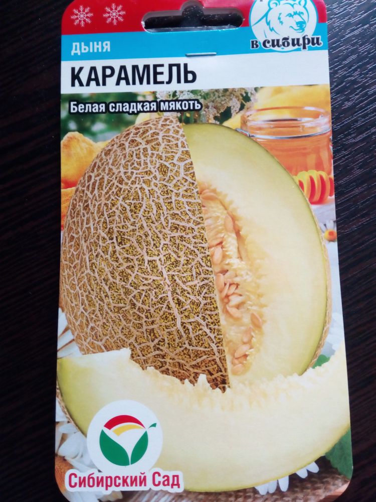 Дыня Карамель