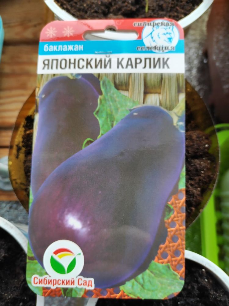 Баклажан Японский Карлик