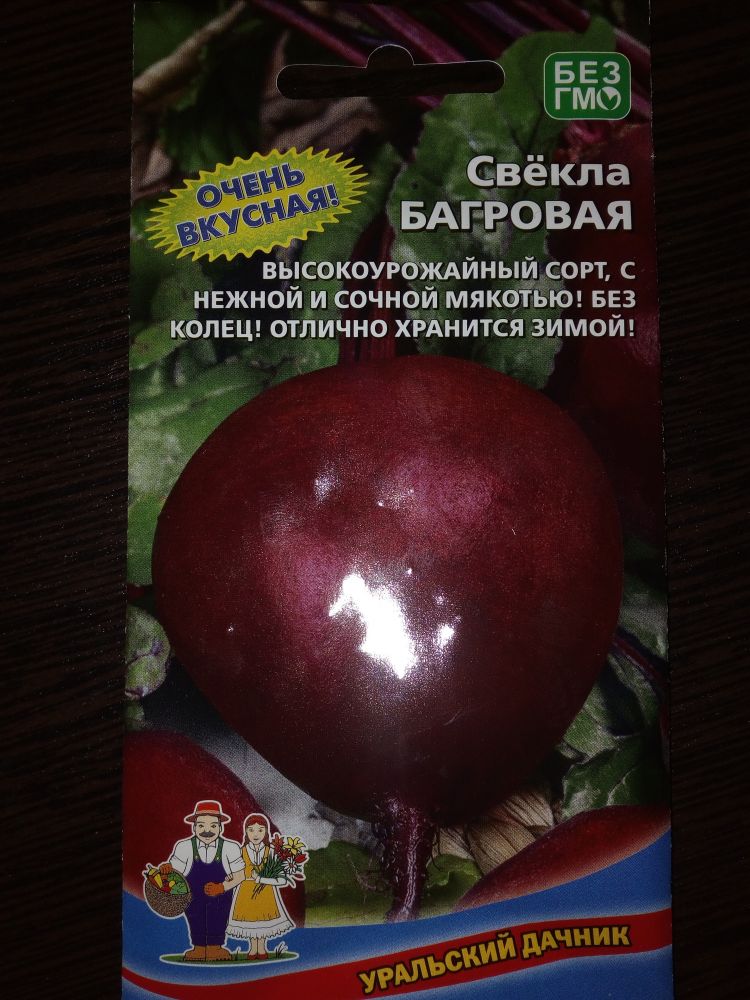 Свекла Багровая