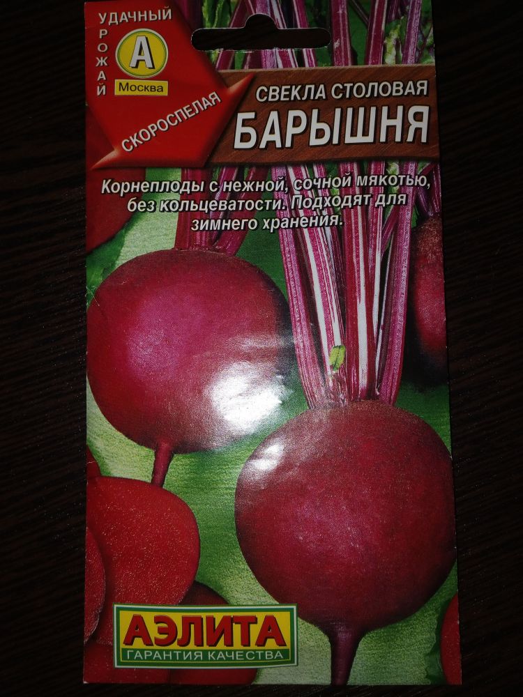 Свекла столовая Барышня