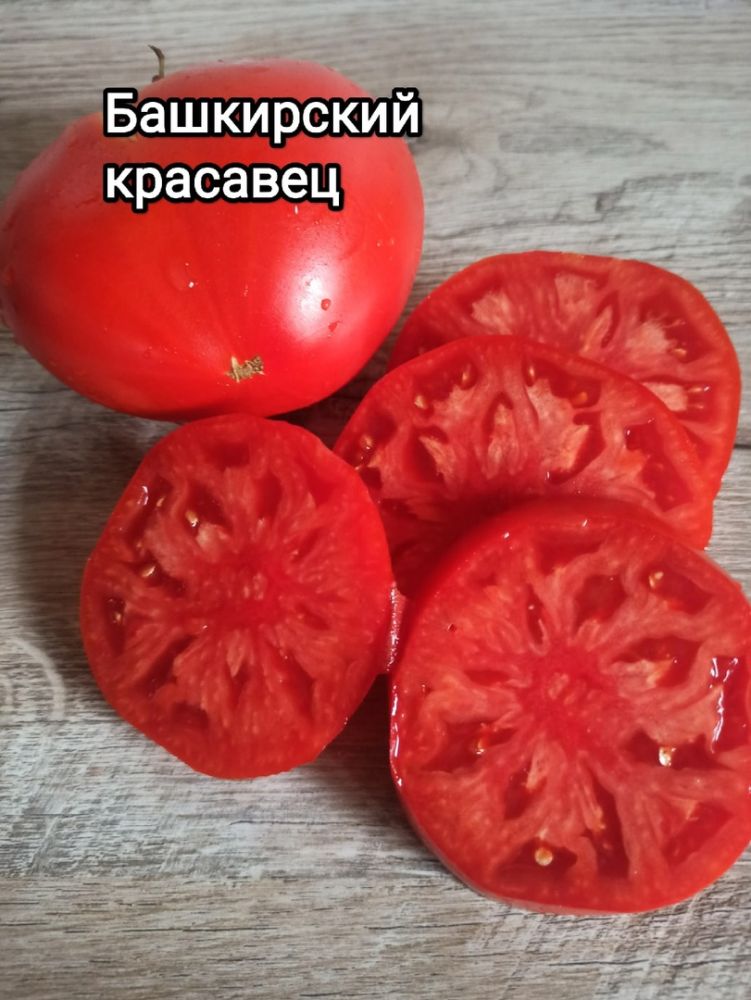 Томат Башкирский красавец(из коллекции Натальи Толкачевой)