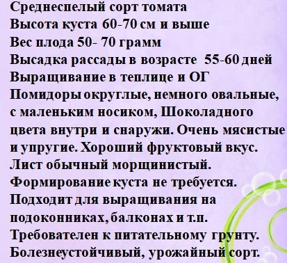 Томат гном Лапа Кенгуру( коричневый из коллекции Чулюкиной В.П. )  описание