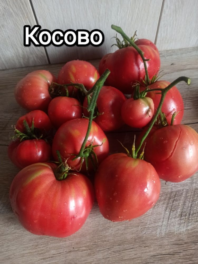 Томат Косово(из коллекции Натальи Толкачевой)