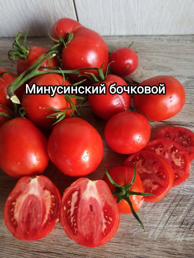 Томат Минусинский бочковой(из коллекции Натальи Толкачевой)