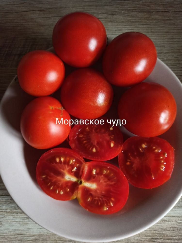 Томат Моравское чудо(из коллекции Натальи Толкачевой)