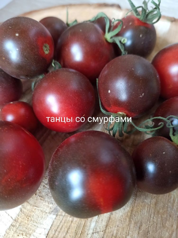 Томат Танцы со Смурфами(из коллекции Натальи Толкачевой)