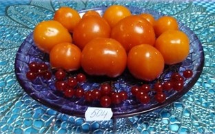 Томат Утенок( ранний из коллекции Чулюкиной В.П. ) 