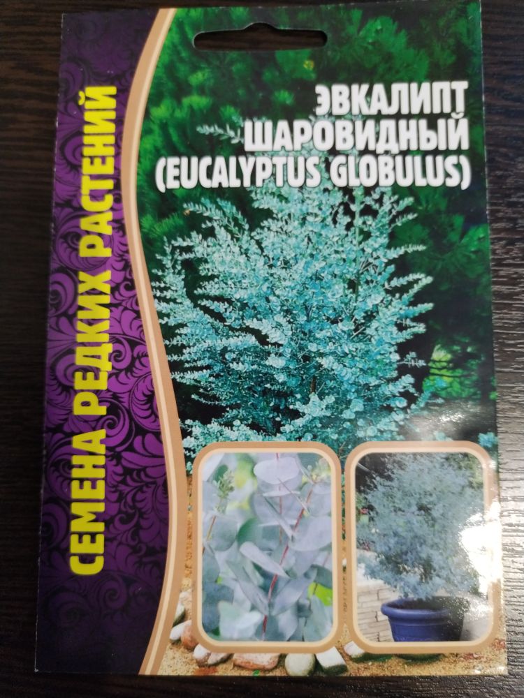 Эвкалипт шаровидный
