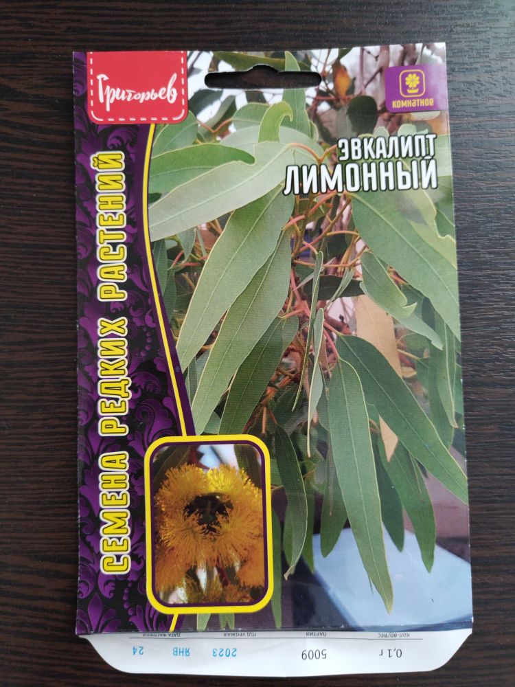 Эвкалипт Лимонный