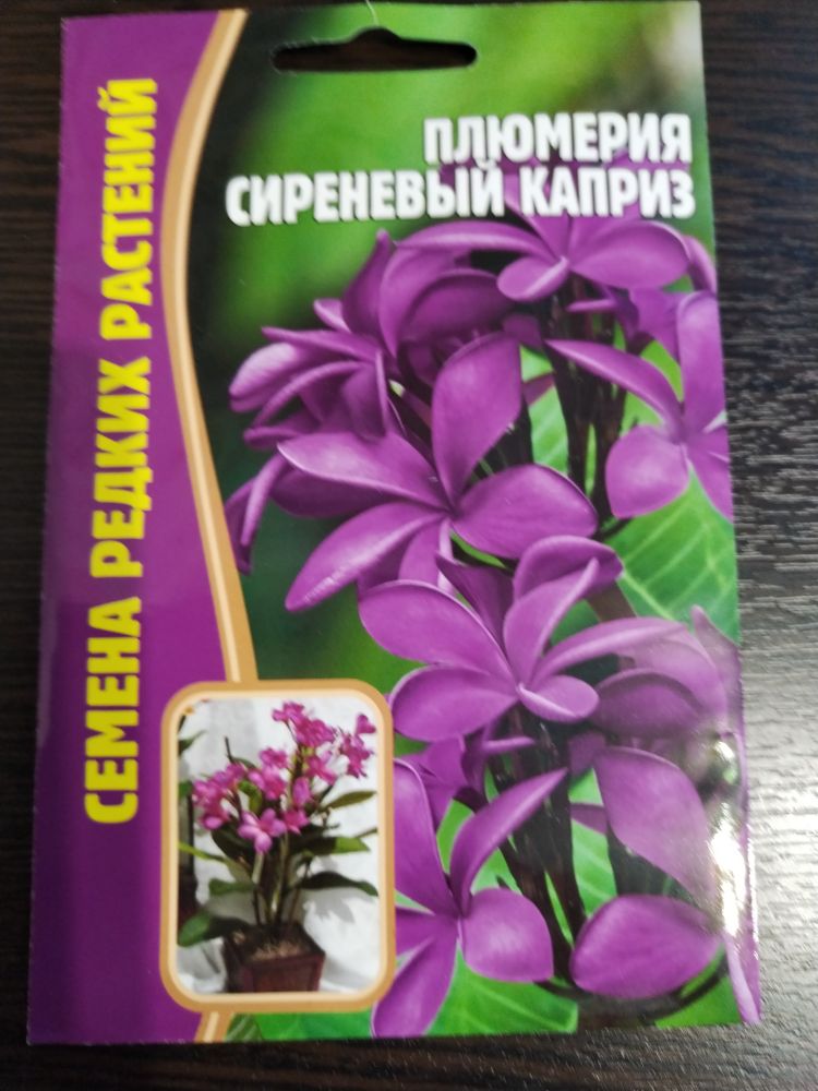 Плюмерия Сиреневый каприз
