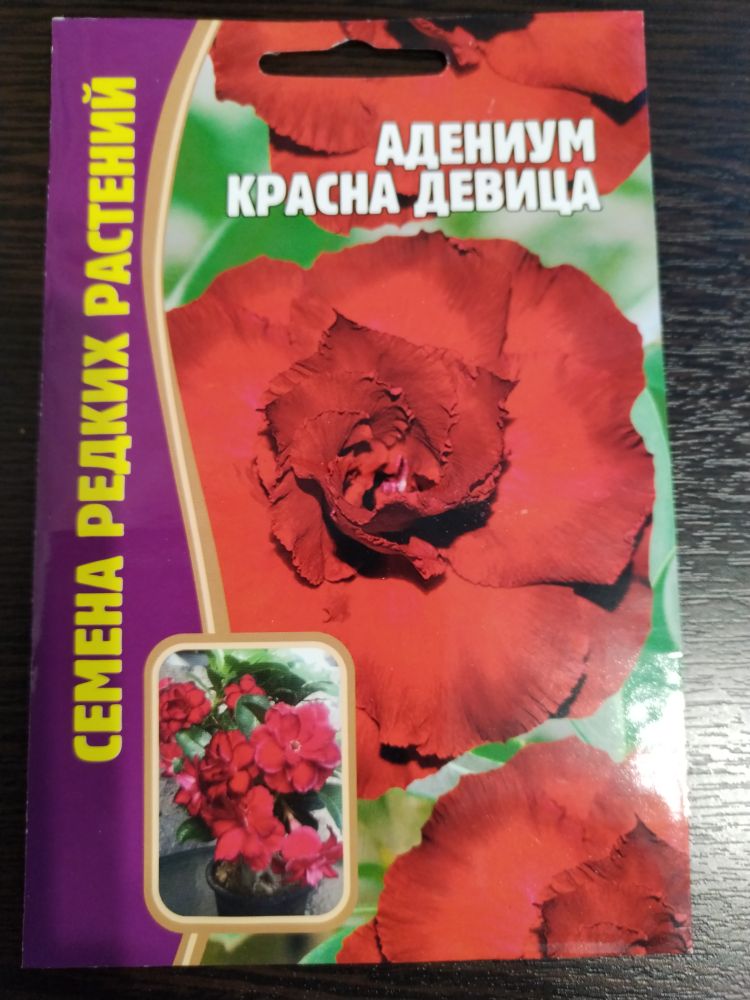 Адениум Красна девица
