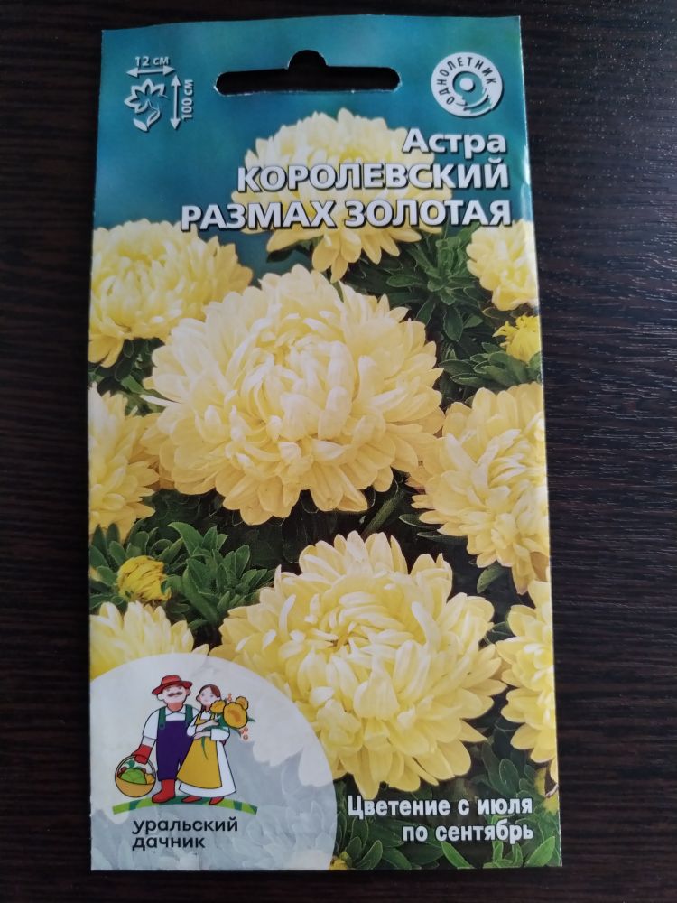 Астра Королевский размах золотая