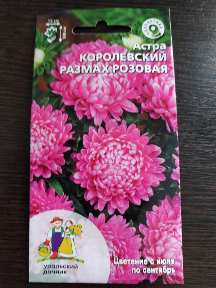 Астра Королевский размах розовая