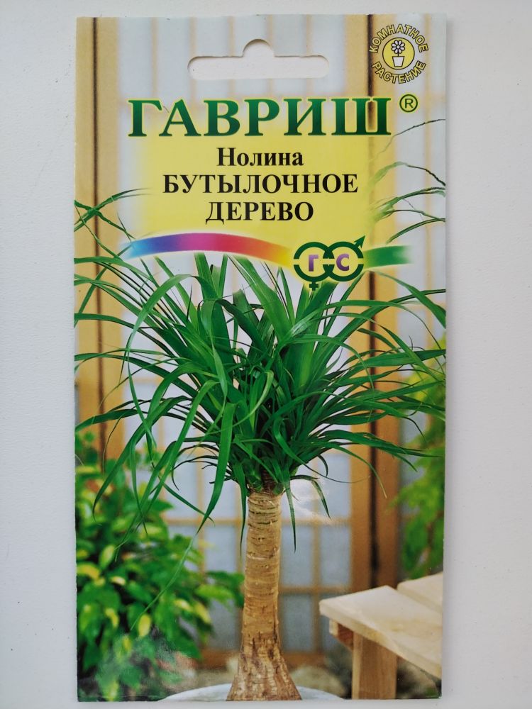 Нолина Бутылочное дерево(Гавриш)