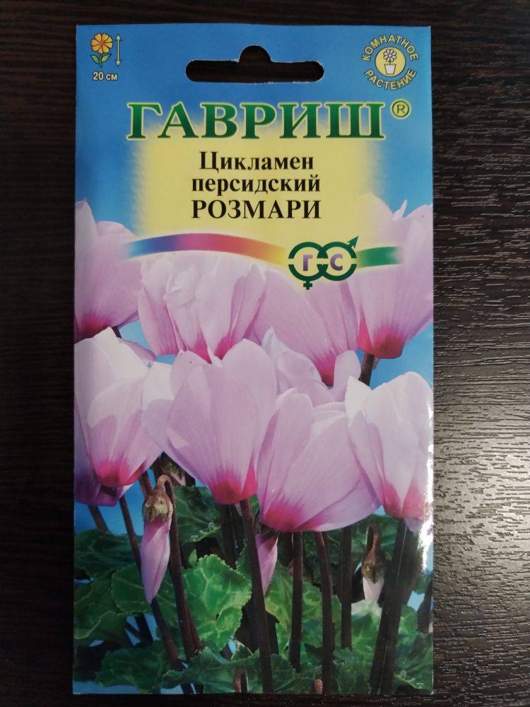 Цикламен персидский Розмари
