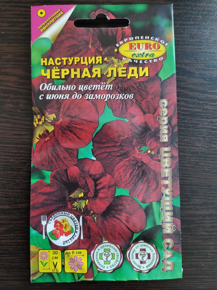 Настурция Чёрная леди