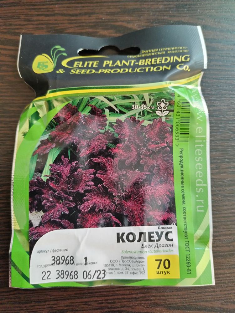 Колеус Блюме Блэк Драгон
