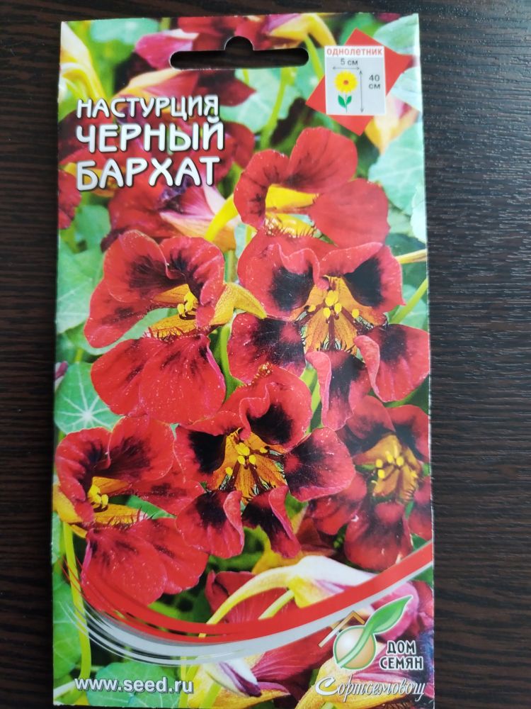 Настурция Чёрный бархат
