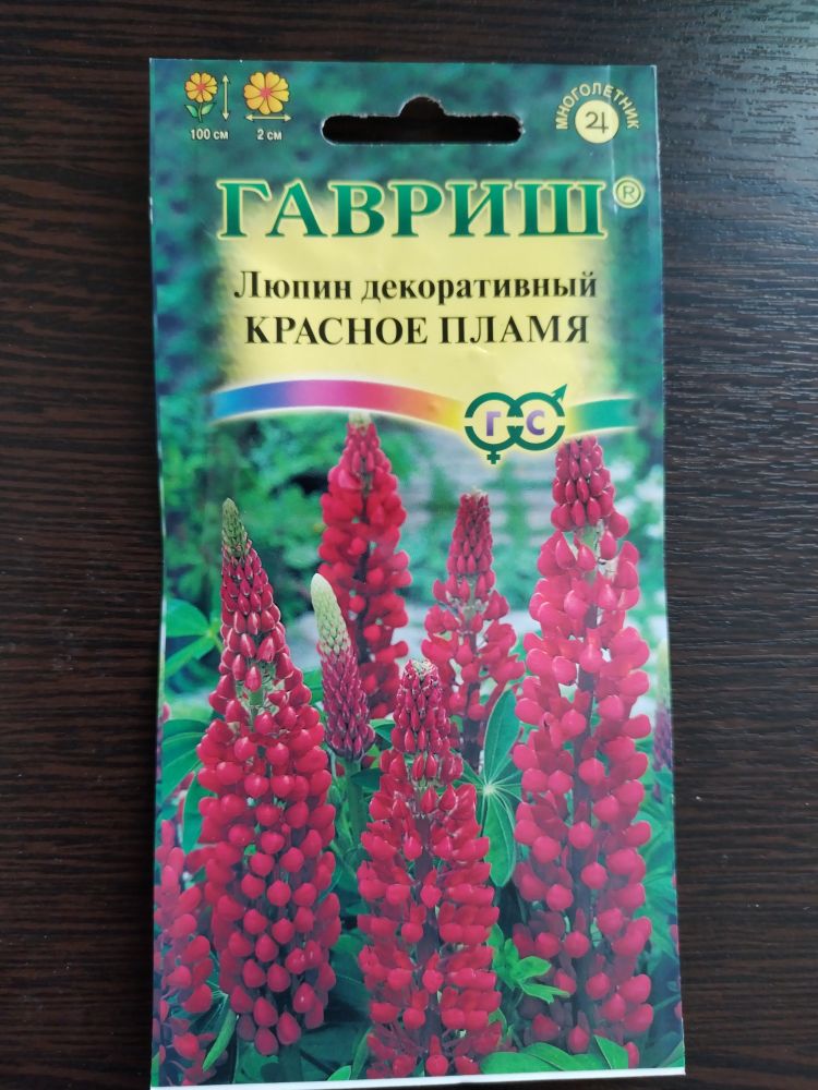 Люпин декоративный Красное пламя