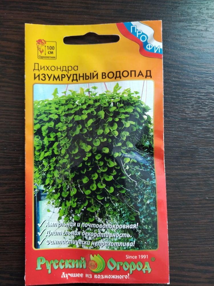 Дихондра Изумрудный водопад