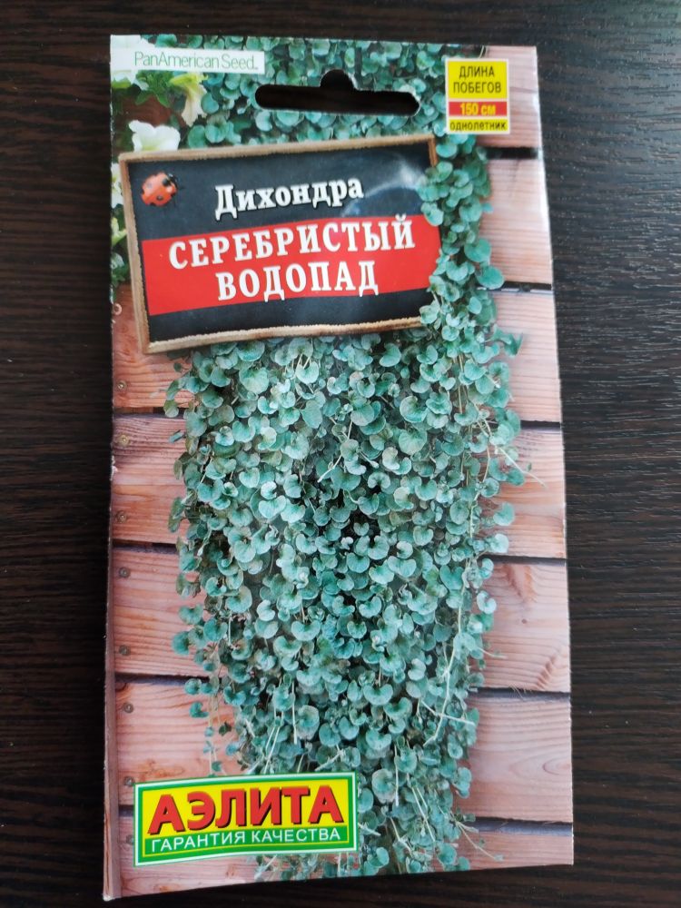 Дихондра Серебристый водопад
