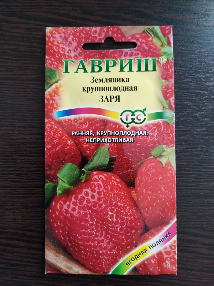 Земляника крупноплодная Заря