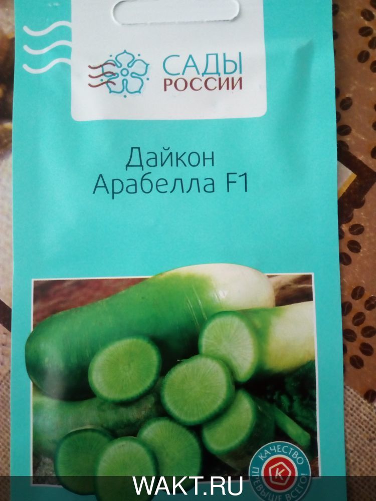 Дайкон Арабелла F1