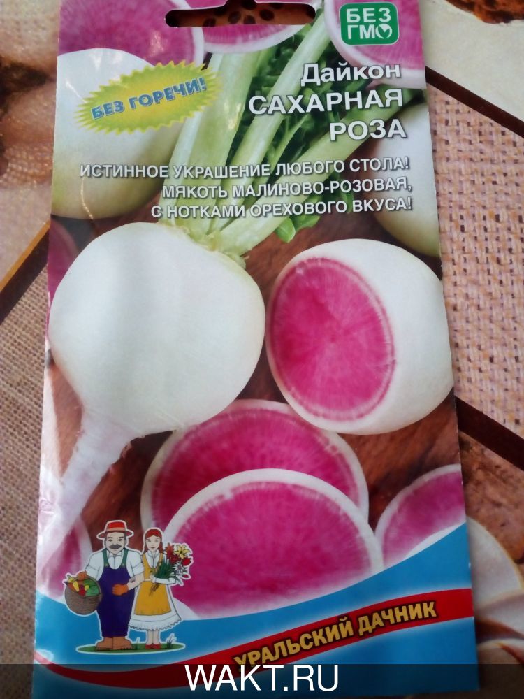 Дайкон Сахарная роза