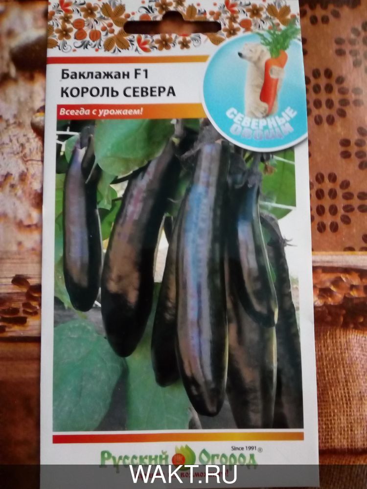 Баклажан Король Севера F1