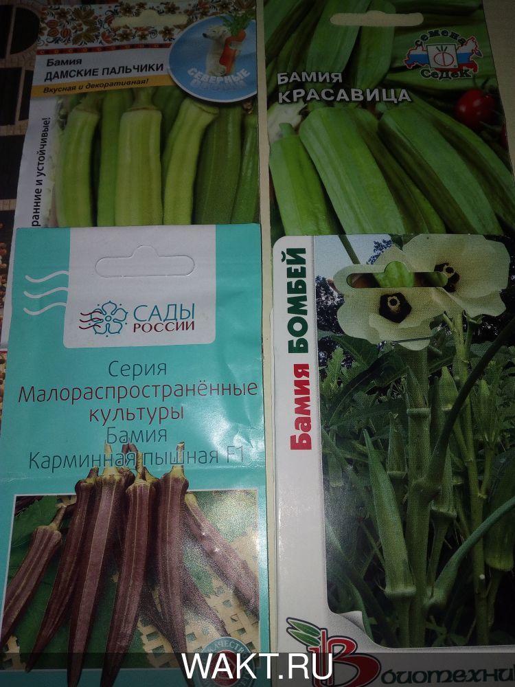 Бамия