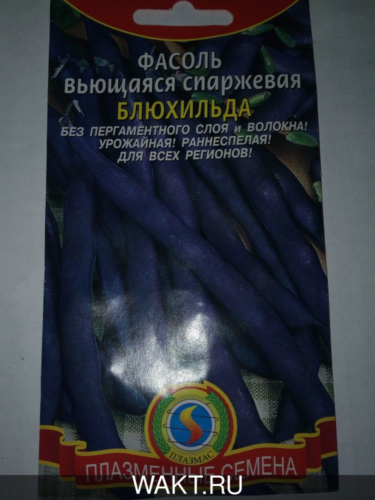 Фасоль Блюхильда