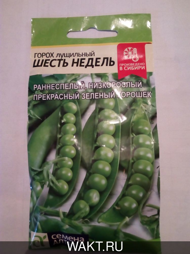 Горох Шесть недель (лущильный)