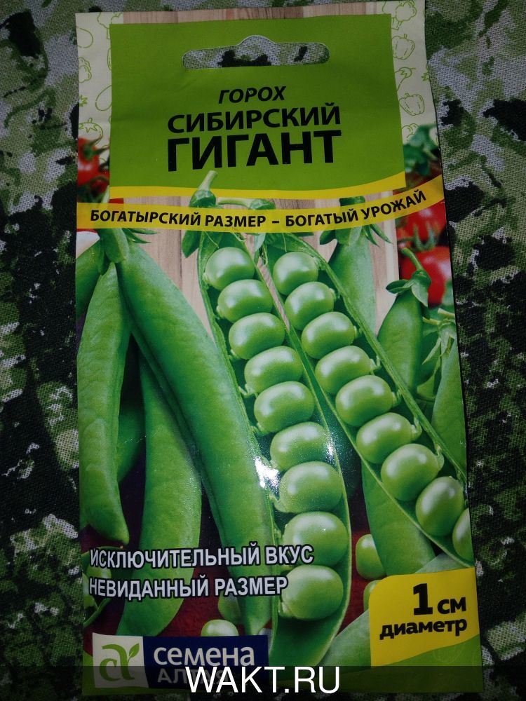 Горох Сибирский гигант