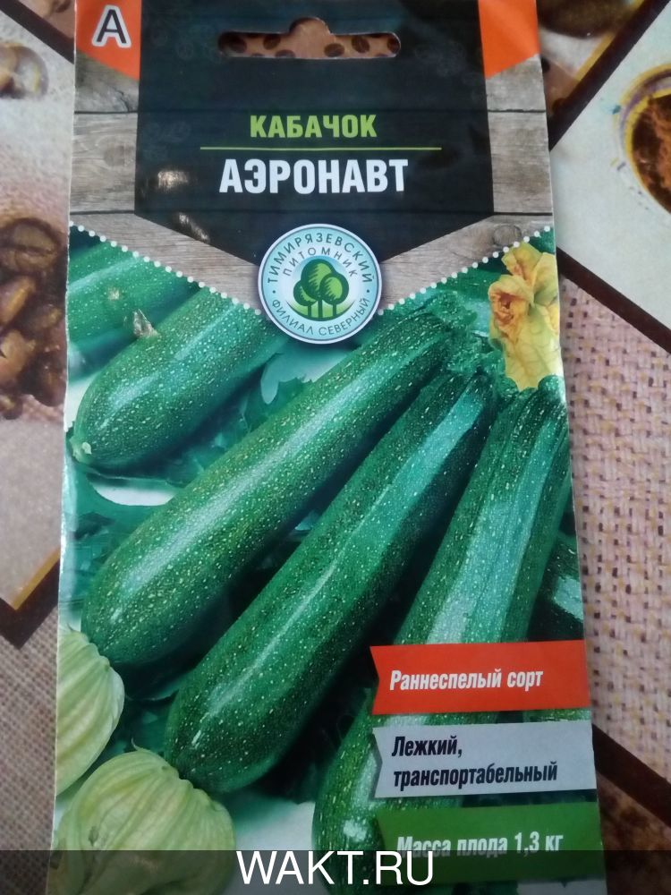 Кабачок Аэронавт