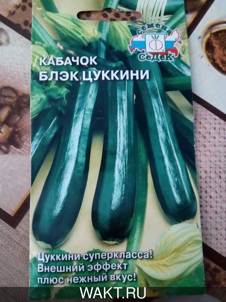 Кабачок Блэк (цуккини)