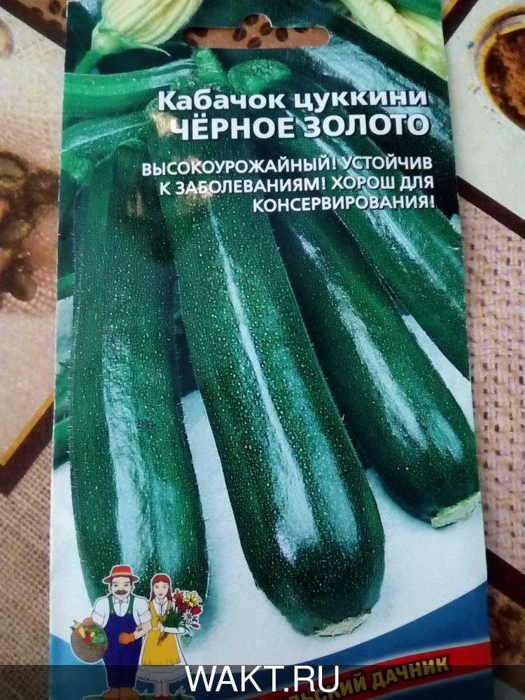 Кабачок Черное золото (цуккини)