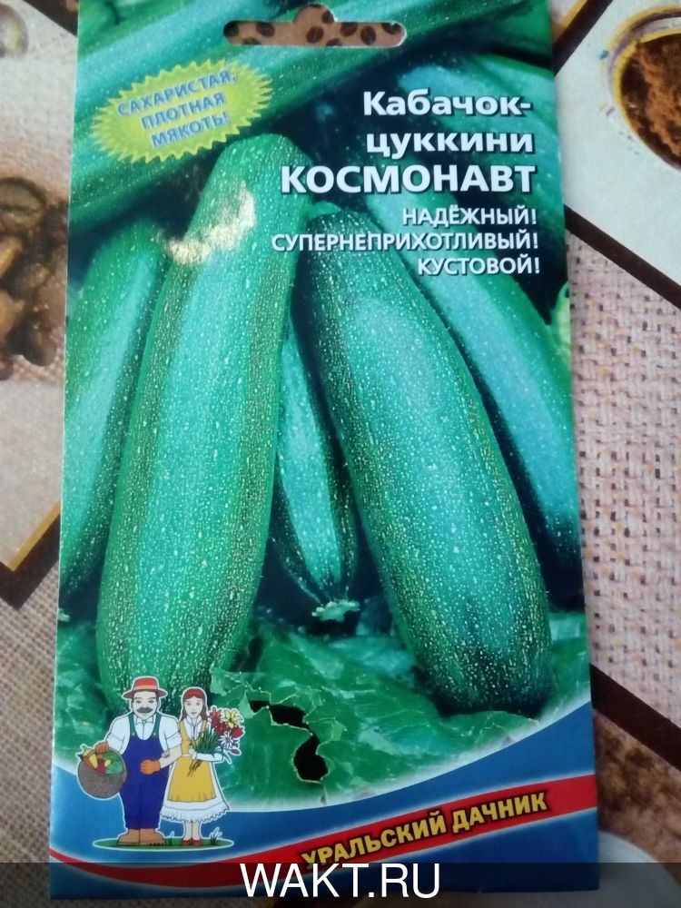 Кабачок Космонавт (цуккини)