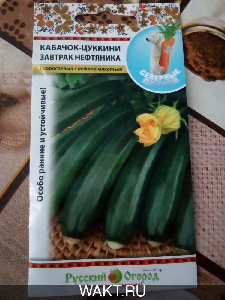 Кабачок Завтрак нефтяника (цуккини)